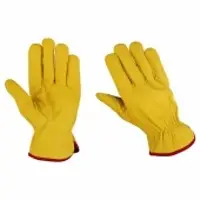 Driver Gloves